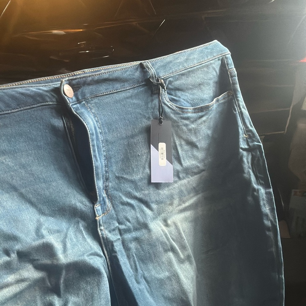 Meri skye Bristol jeans size 30 never worn nwt plus size medium wash